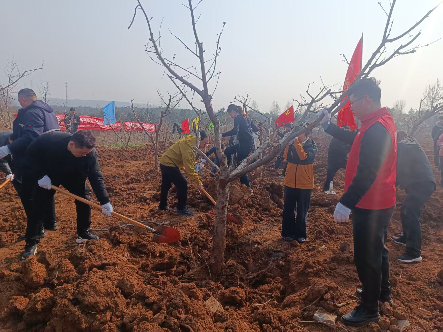 1773371064186172.jpg 1773371064186172.jpg