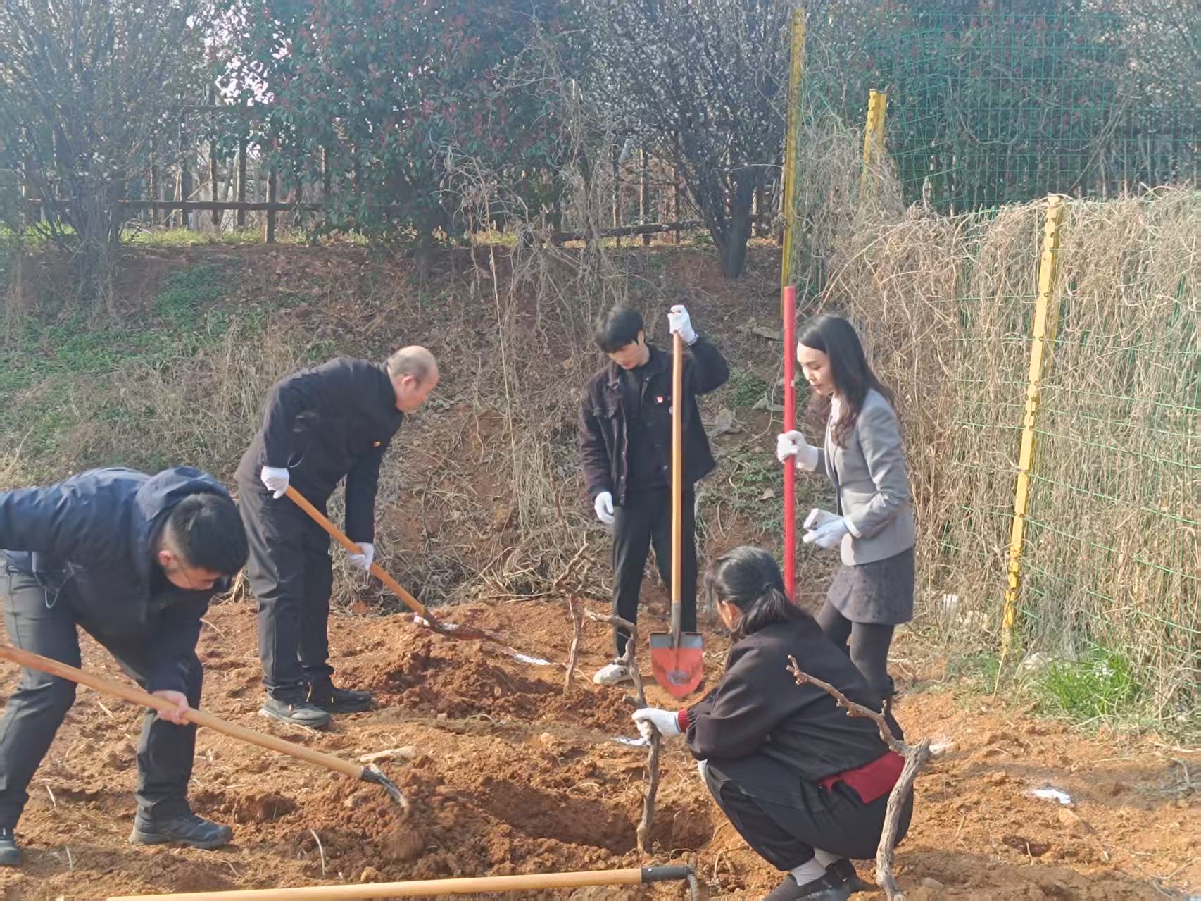 1773371126786718.jpg 1773371126786718.jpg